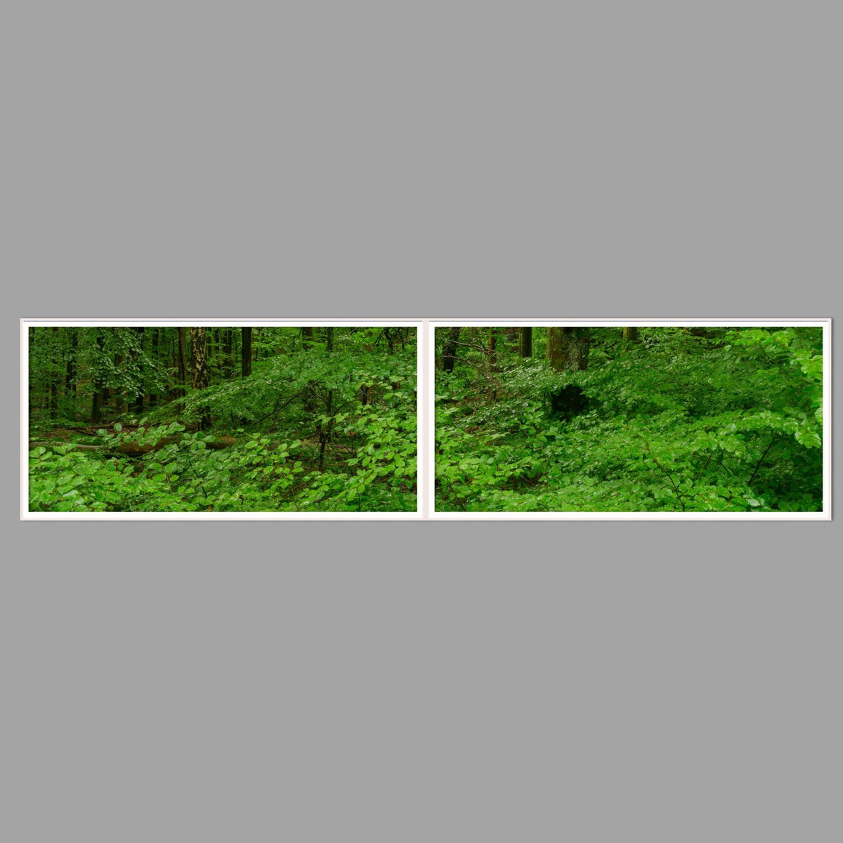 LED-Wandbild Zweiteiler quer 240x60 cm – Wald