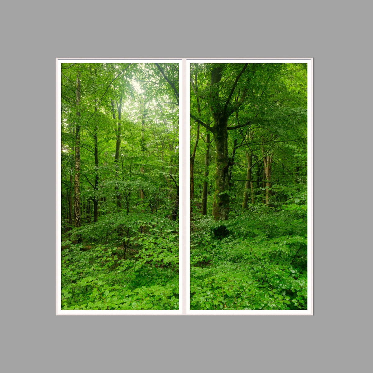 LED-Wandbild Zweiteiler hochkant 120x120 cm – Wald