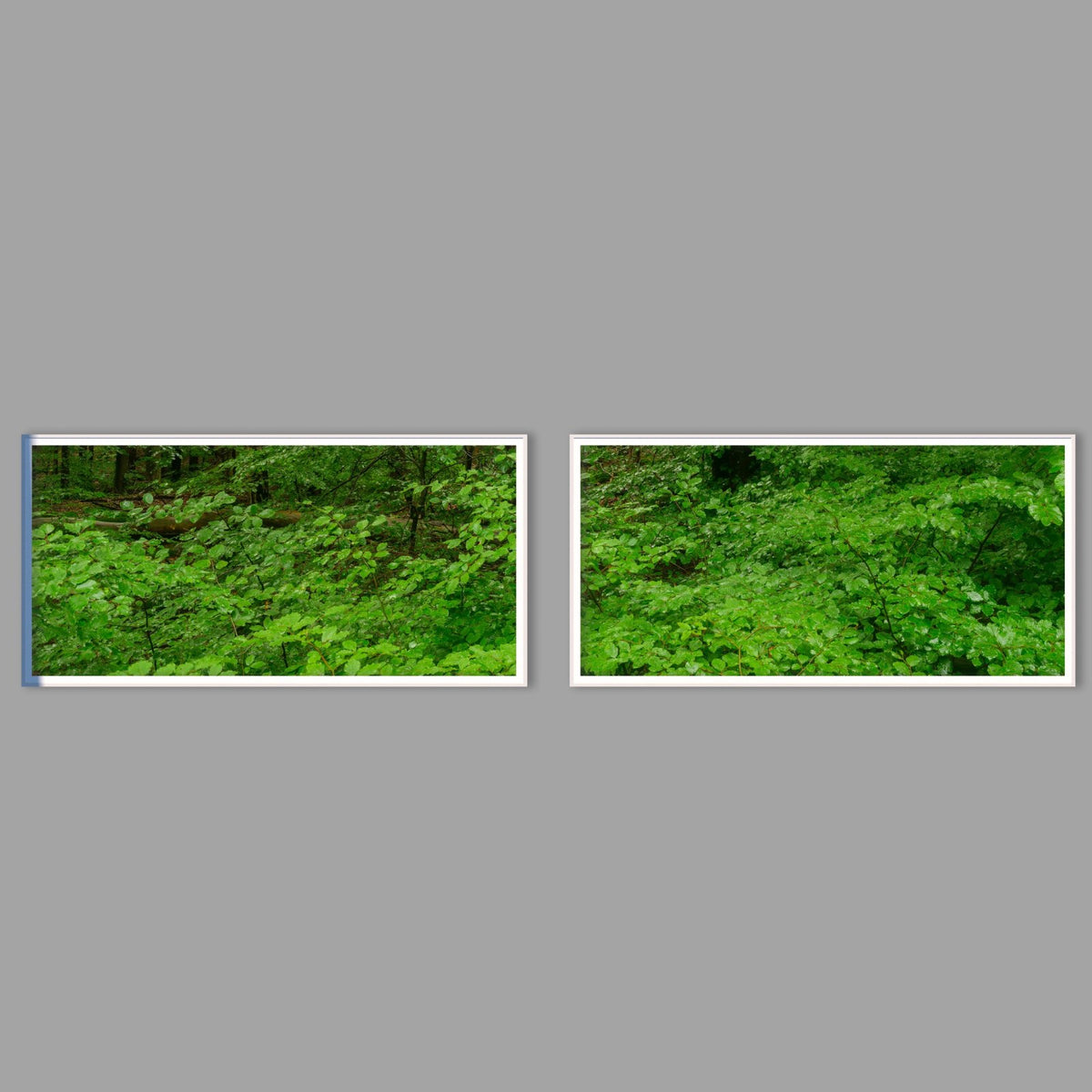 LED-Wandbild Zweiteiler quer mit Abstand – Wald