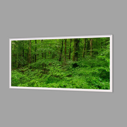 LED-Wandbild 60x120 cm quer – Wald