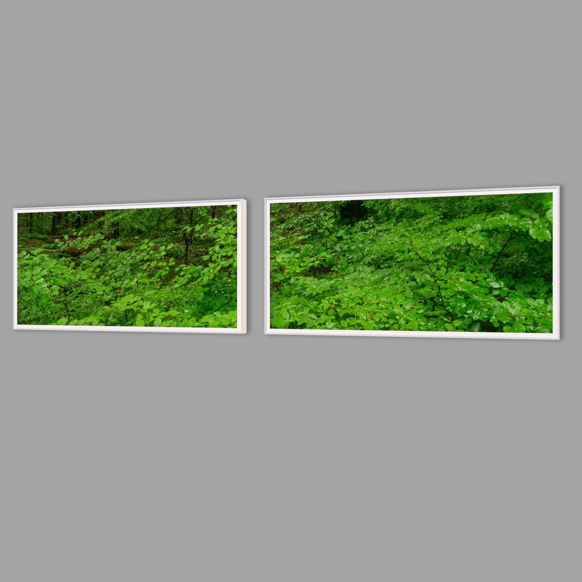 LED-Wandbild Zweiteiler quer mit Abstand – Wald