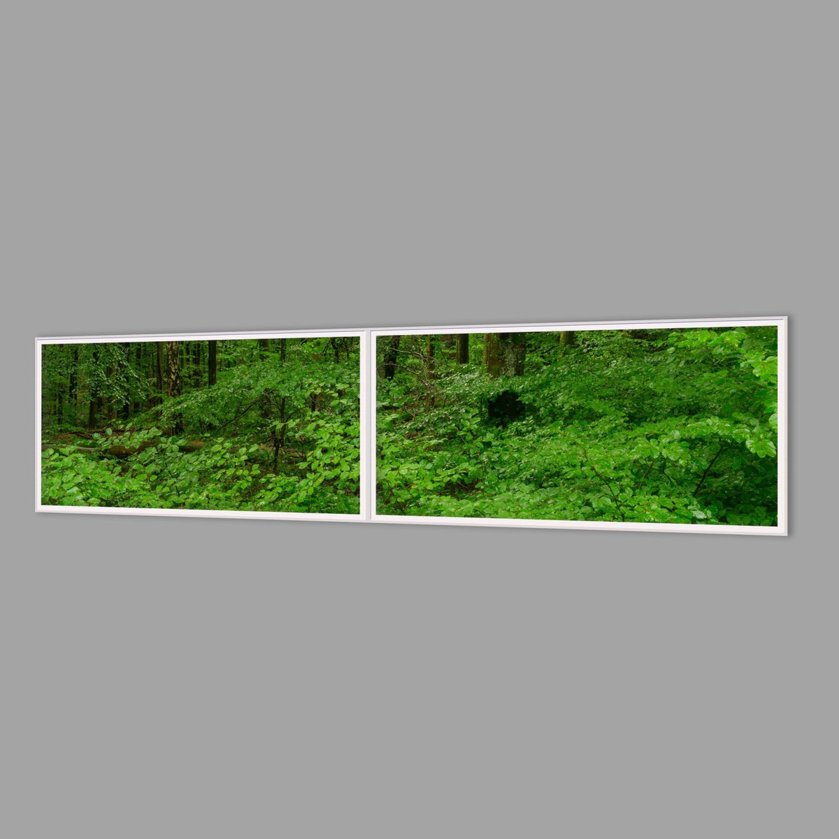 LED-Wandbild Zweiteiler quer 240x60 cm – Wald