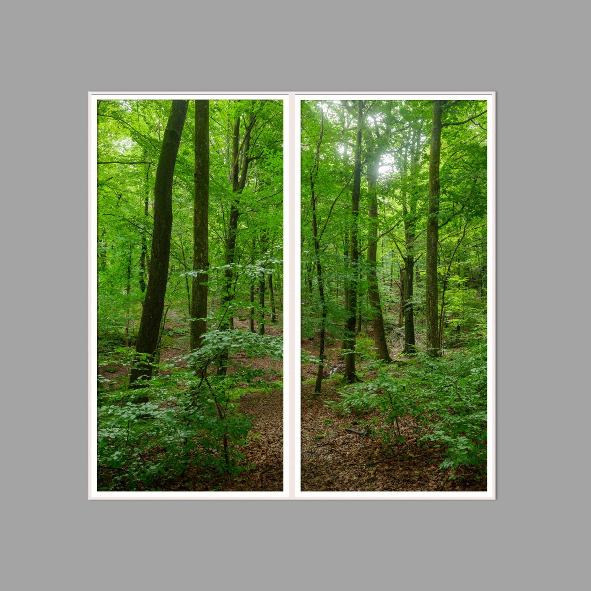 LED-Wandbild Zweiteiler hochkant 120x120 cm – Wald