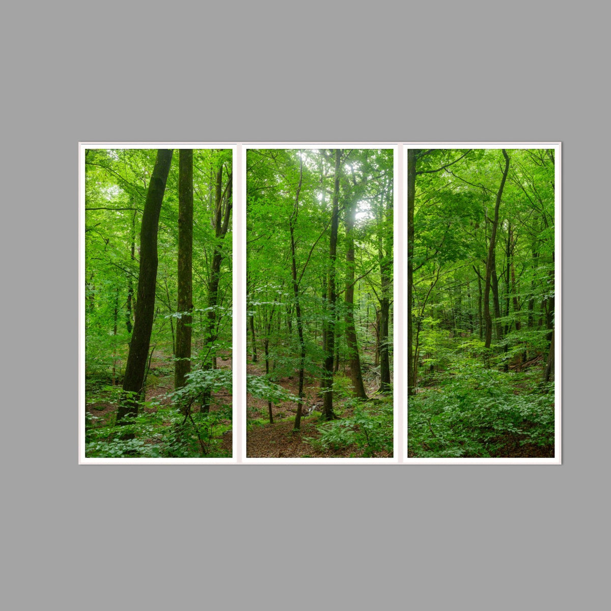 LED-Wandbild Dreiteiler hochkant 180x120 cm – Wald