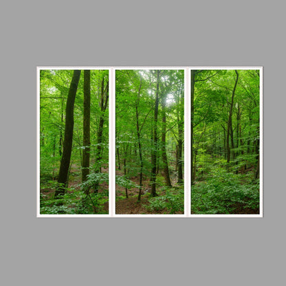 LED-Wandbild Dreiteiler hochkant 180x120 cm – Wald