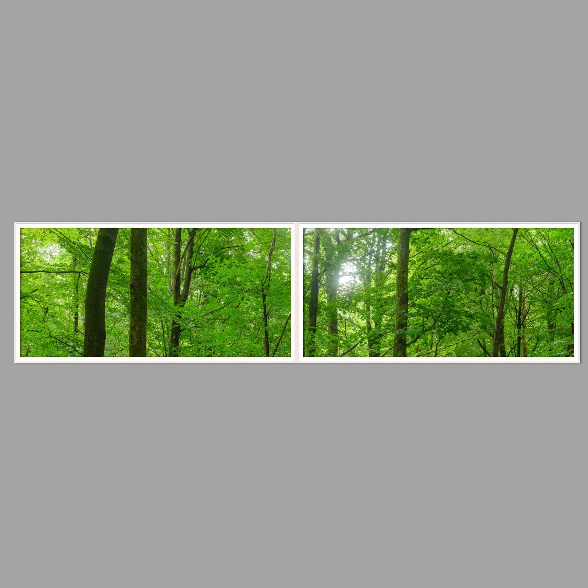 LED-Wandbild Zweiteiler quer 240x60 cm – Wald