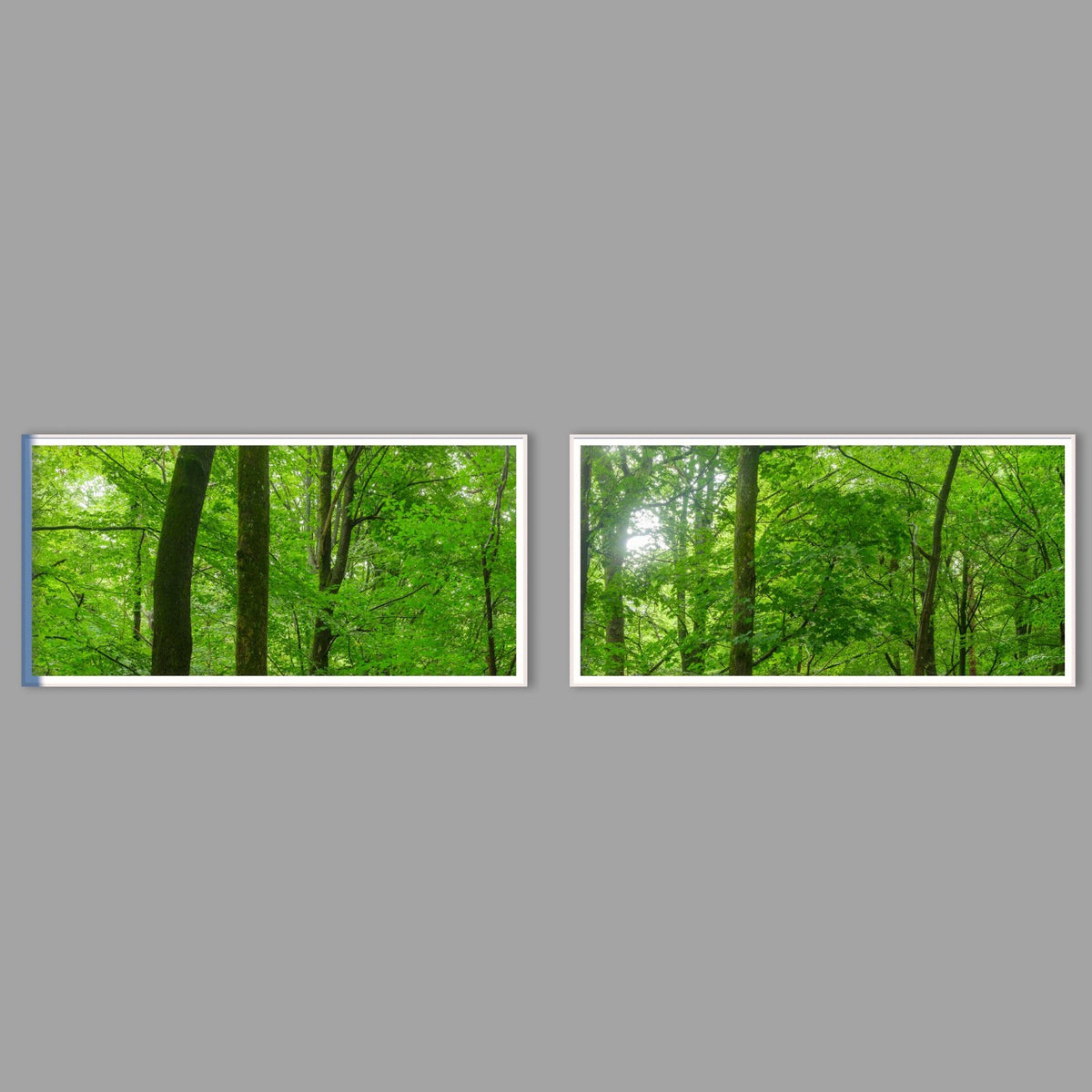 LED-Wandbild Zweiteiler quer mit Abstand – Wald