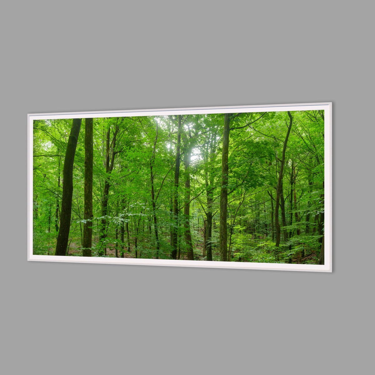 LED-Wandbild 60x120 cm quer – Wald