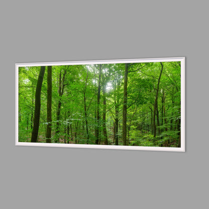 LED-Wandbild 60x120 cm quer – Wald
