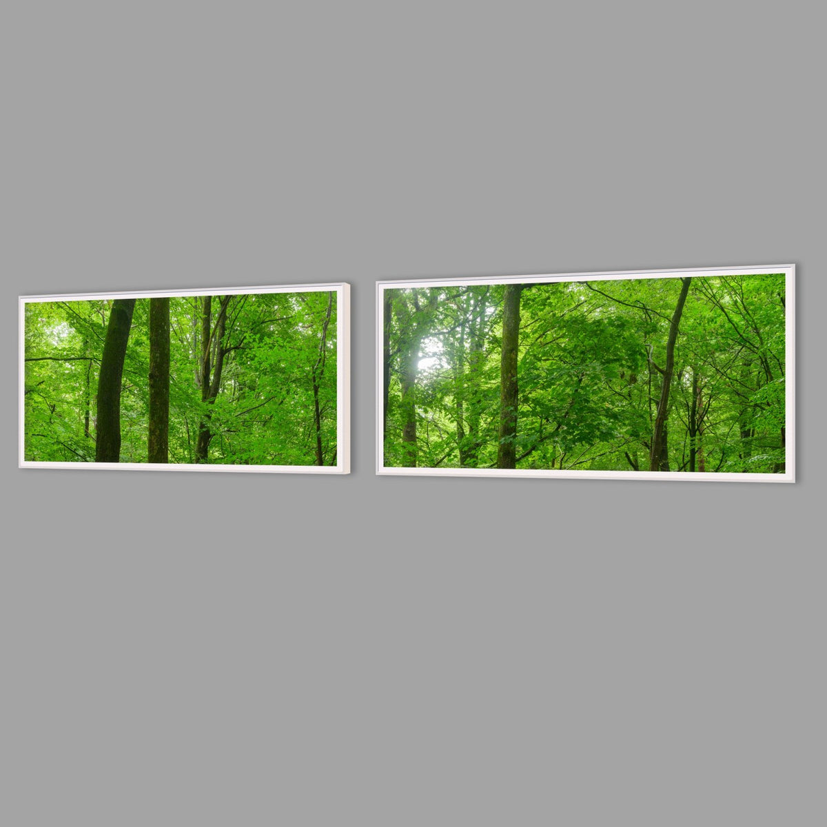 LED-Wandbild Zweiteiler quer mit Abstand – Wald