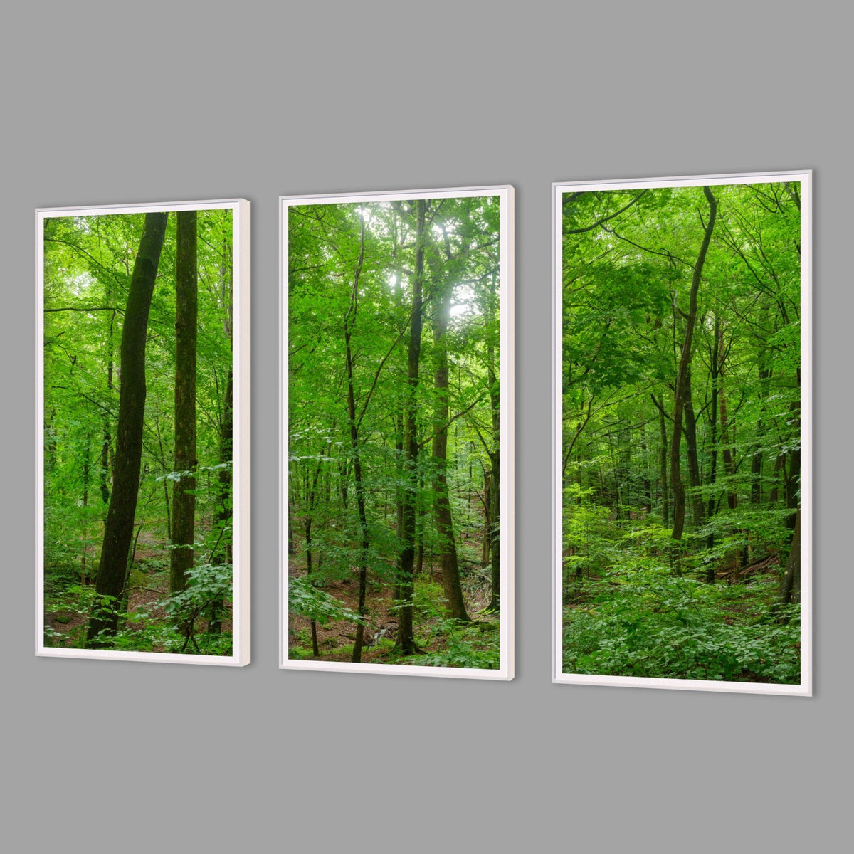 LED-Wandbild Dreiteiler hochkant mit Abstand – Wald