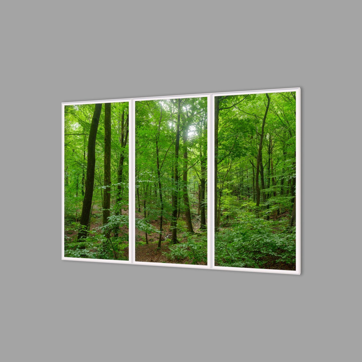 LED-Wandbild Dreiteiler hochkant 180x120 cm – Wald