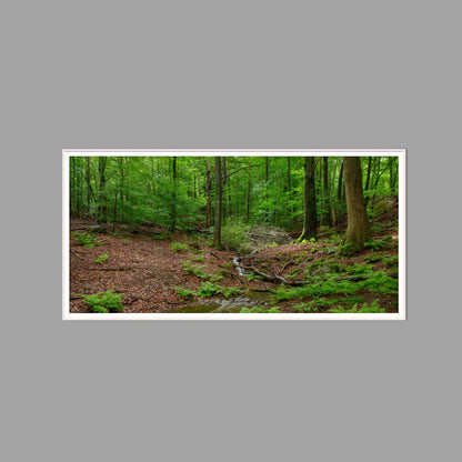 LED-Wandbild 60x120 cm quer – Wald