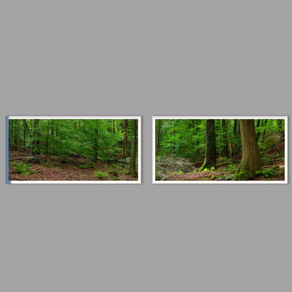 LED-Wandbild Zweiteiler quer mit Abstand – Wald