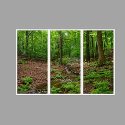 LED-Wandbild Dreiteiler hochkant 180x120 cm – Wald