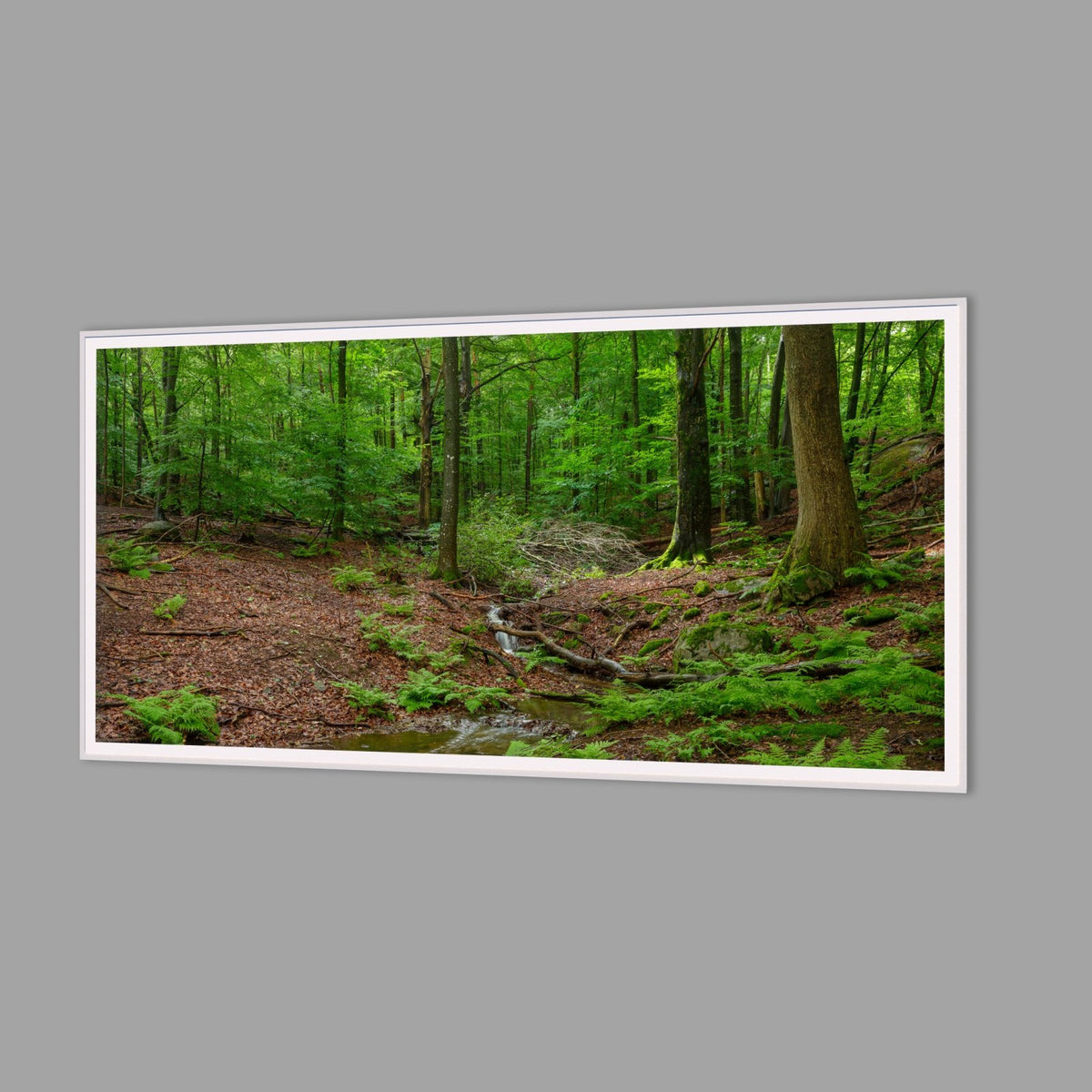 LED-Wandbild 60x120 cm quer – Wald