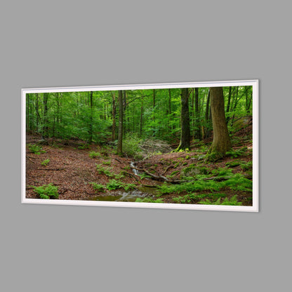 LED-Wandbild 60x120 cm quer – Wald