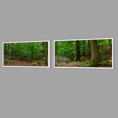 LED-Wandbild Zweiteiler quer mit Abstand – Wald