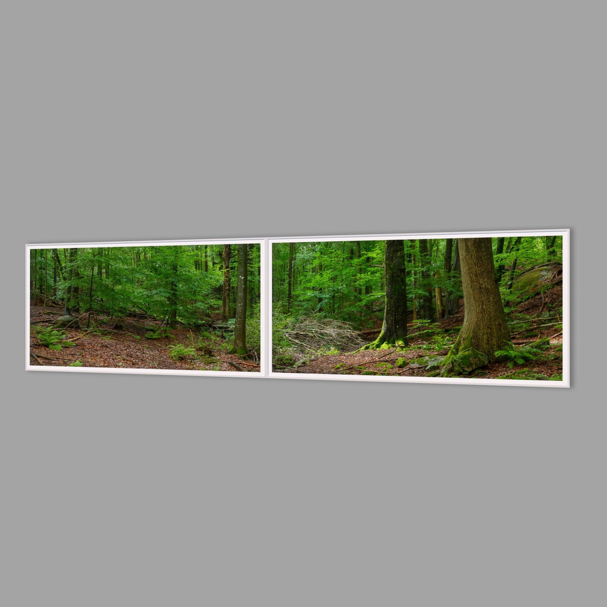LED-Wandbild Zweiteiler quer 240x60 cm – Wald