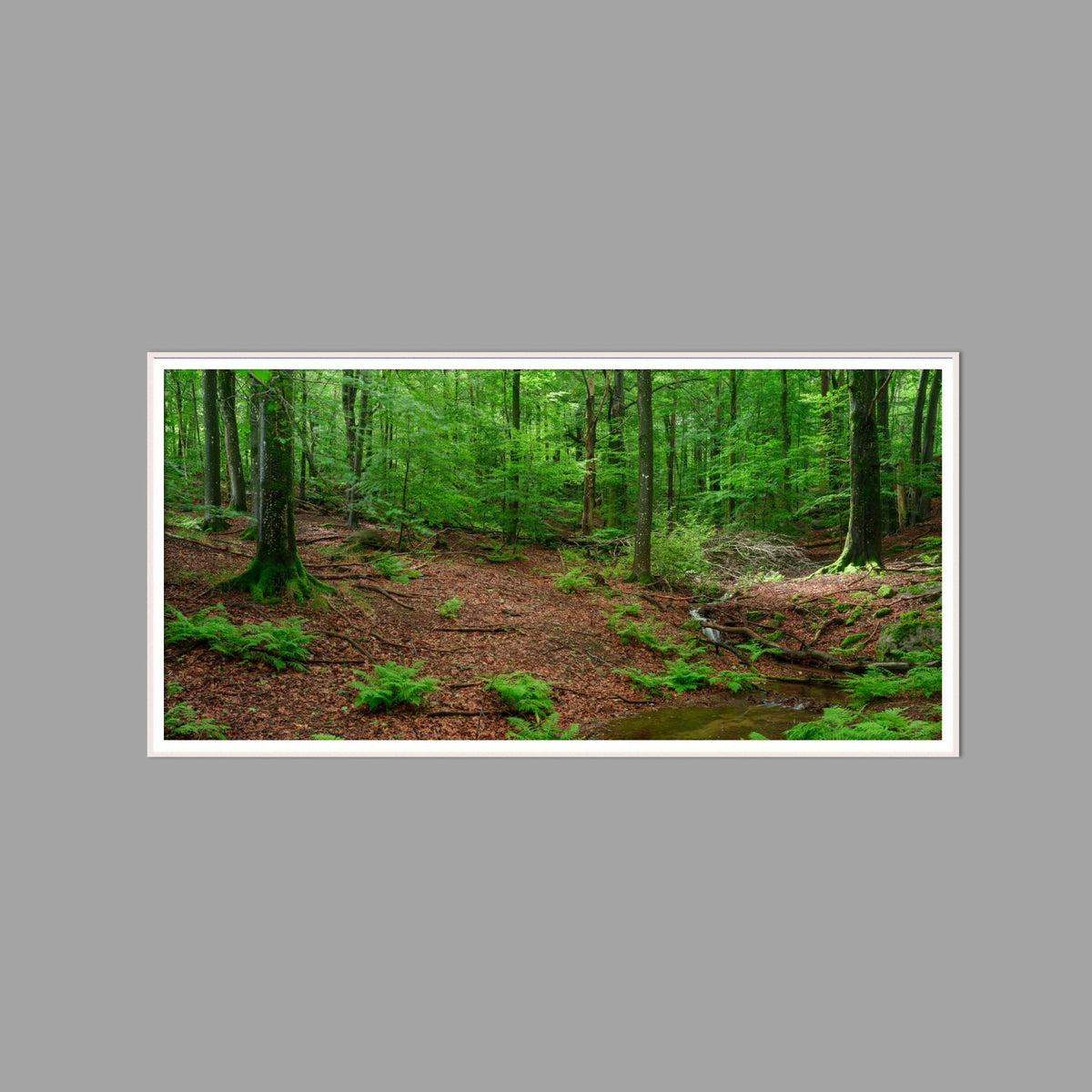 LED-Wandbild 60x120 cm quer – Wald