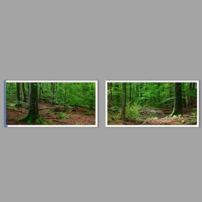 LED-Wandbild Zweiteiler quer mit Abstand – Wald