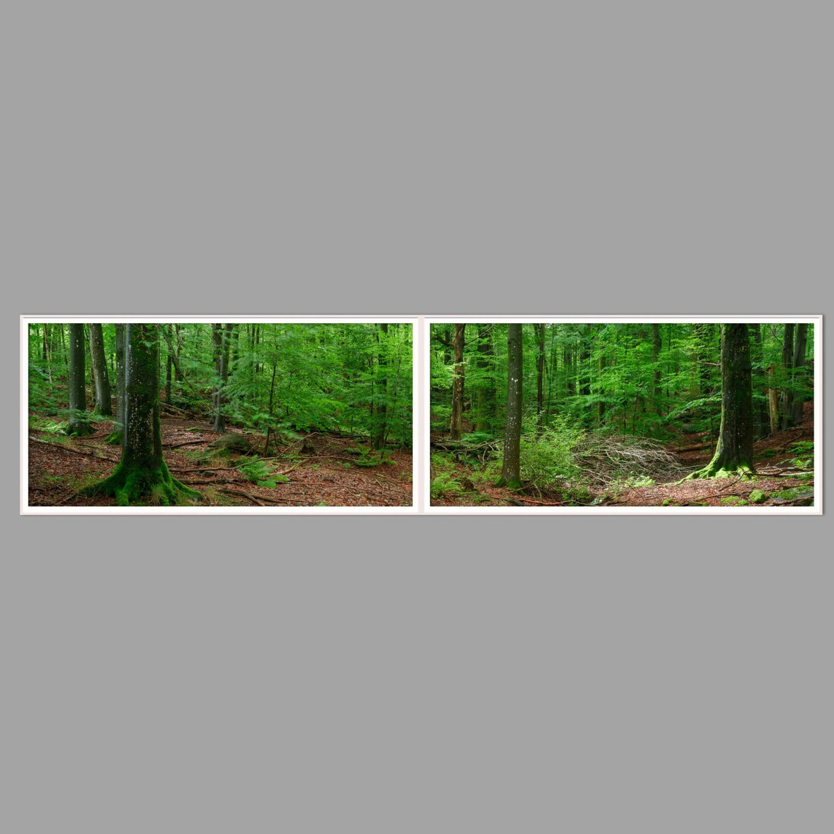 LED-Wandbild Zweiteiler quer 240x60 cm – Wald