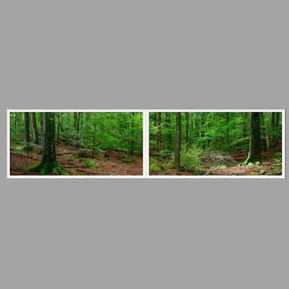 LED-Wandbild Zweiteiler quer 240x60 cm – Wald