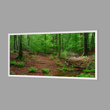 LED-Wandbild 60x120 cm quer – Wald