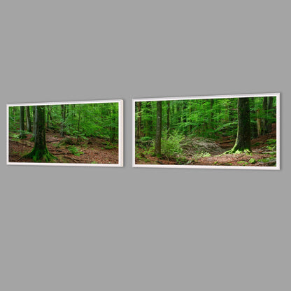 LED-Wandbild Zweiteiler quer mit Abstand – Wald
