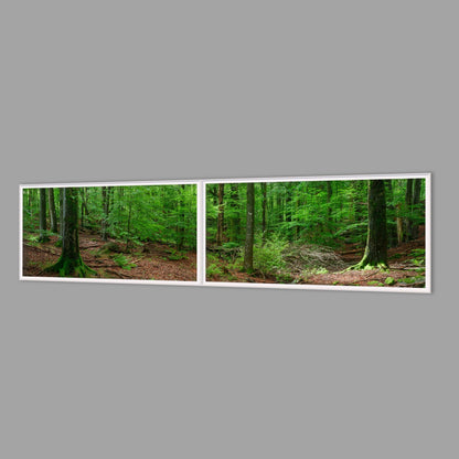 LED-Wandbild Zweiteiler quer 240x60 cm – Wald