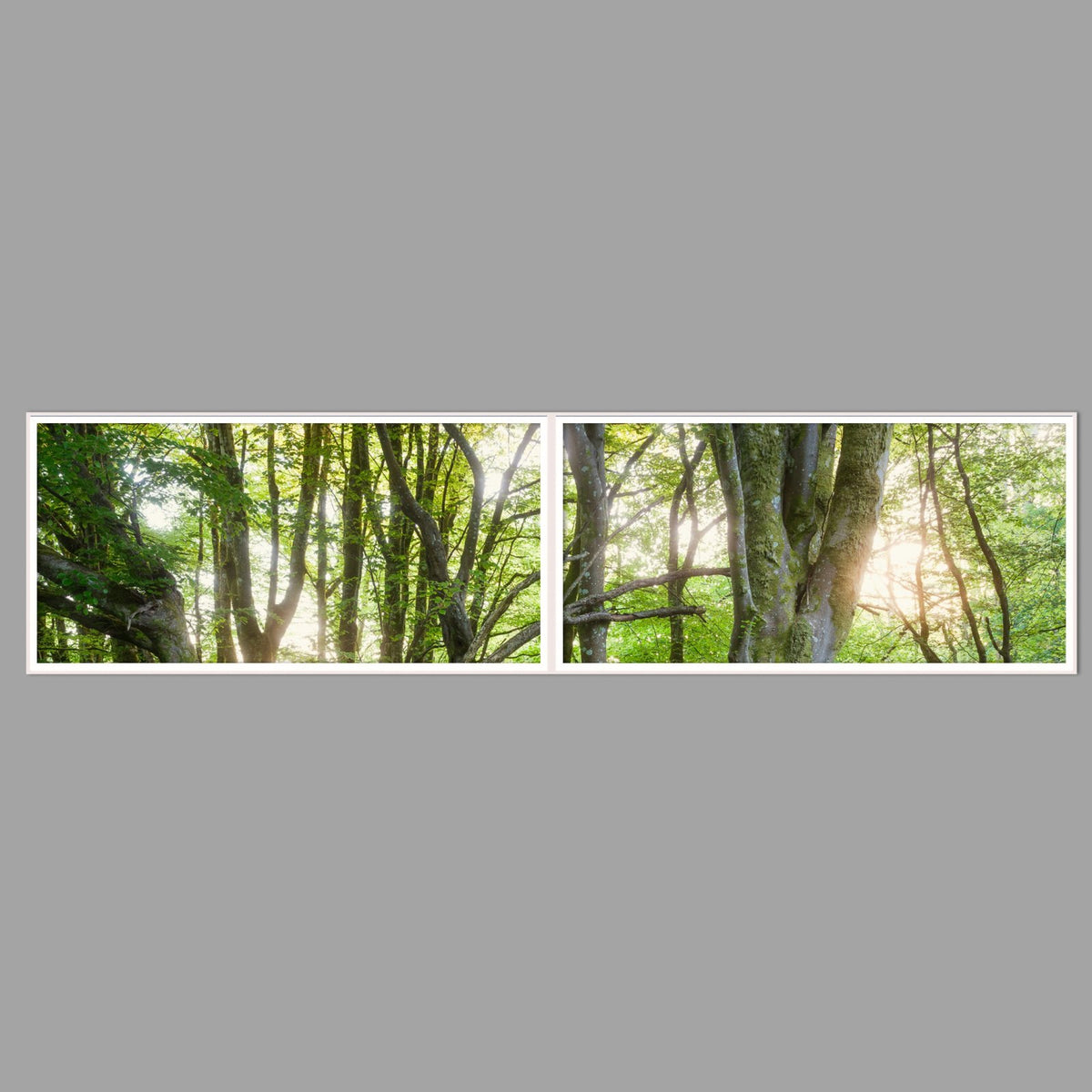 LED-Wandbild Zweiteiler quer 240x60 cm – Wald