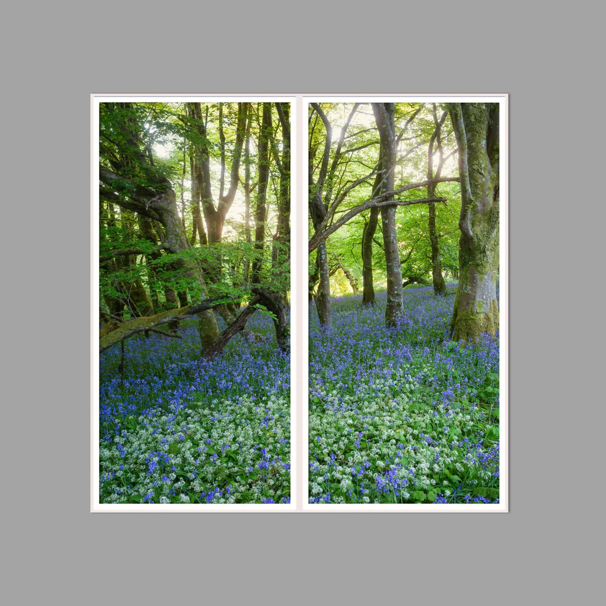 LED-Wandbild Zweiteiler hochkant 120x120 cm – Wald