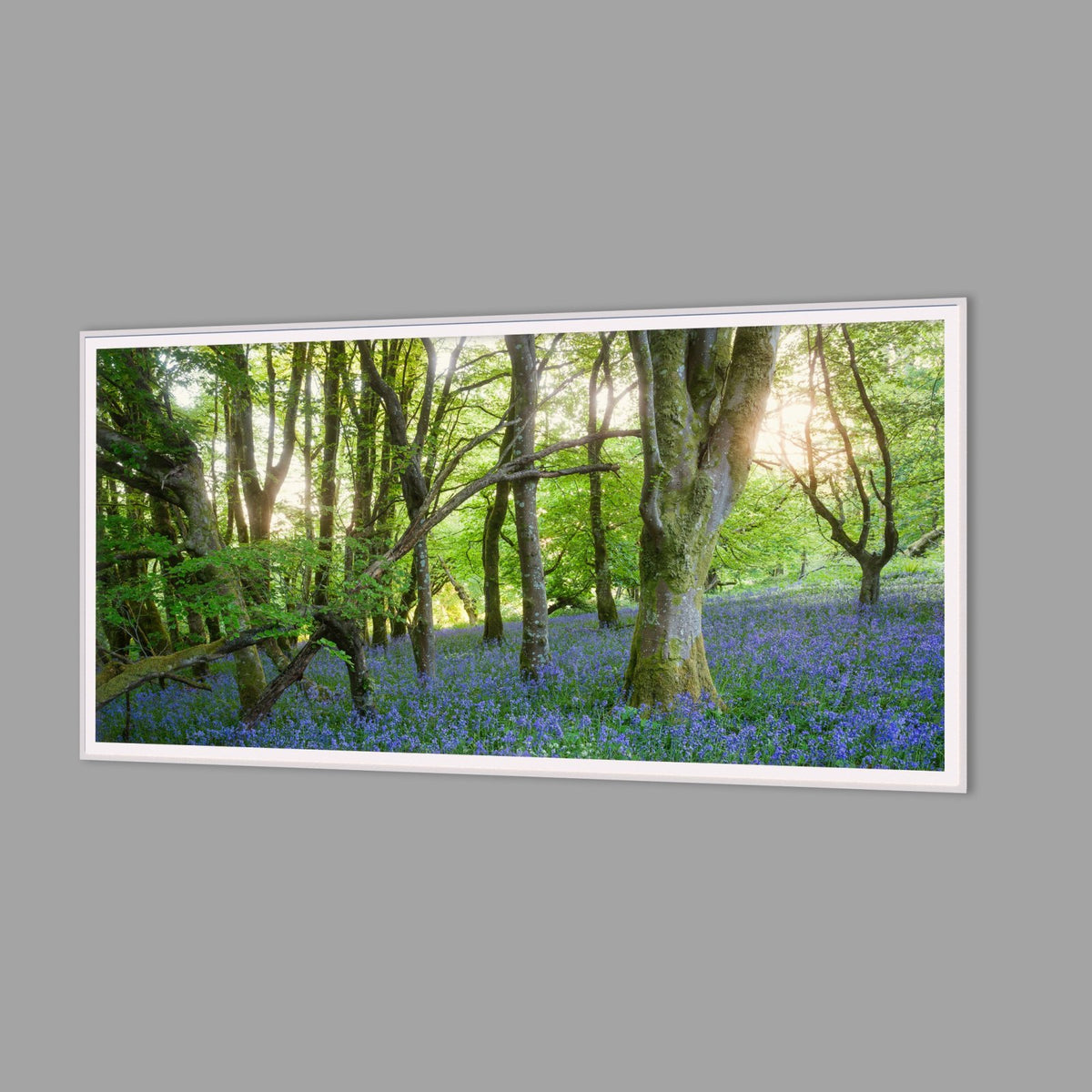 LED-Wandbild 60x120 cm quer – Wald