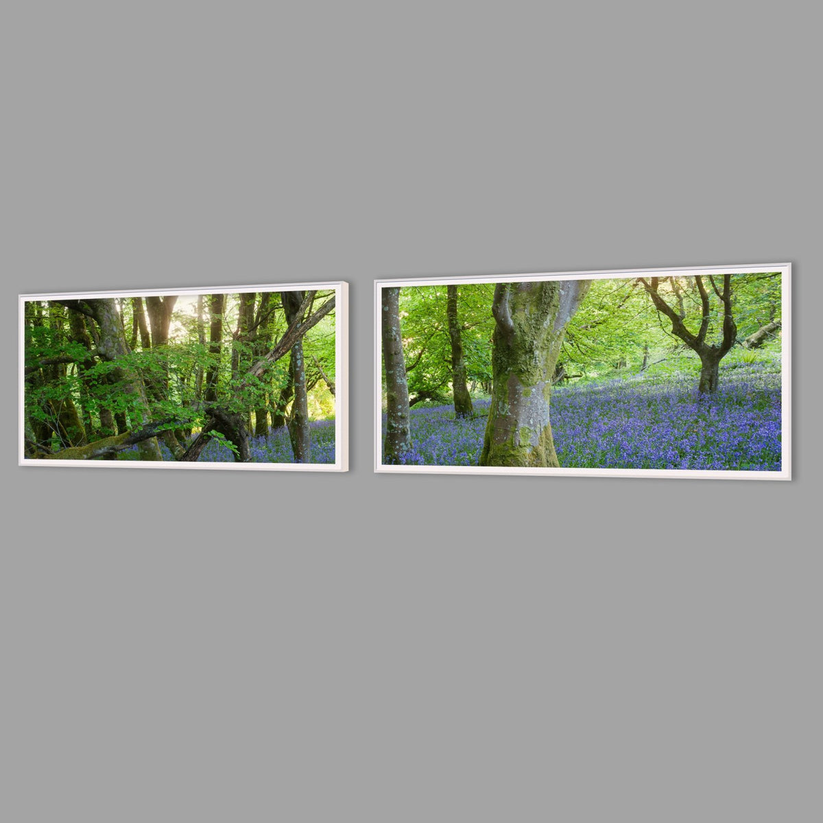 LED-Wandbild Zweiteiler quer mit Abstand – Wald
