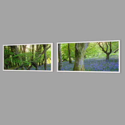 LED-Wandbild Zweiteiler quer mit Abstand – Wald