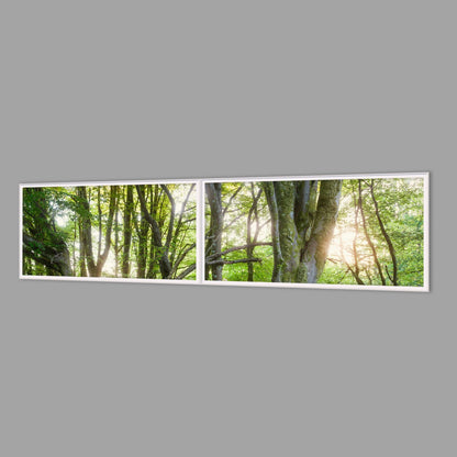 LED-Wandbild Zweiteiler quer 240x60 cm – Wald