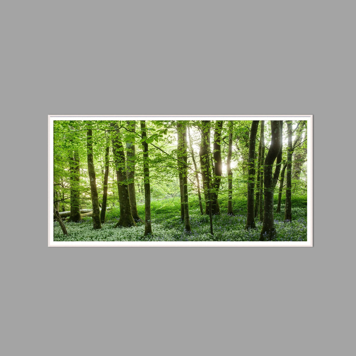 LED-Wandbild 60x120 cm quer – Wald