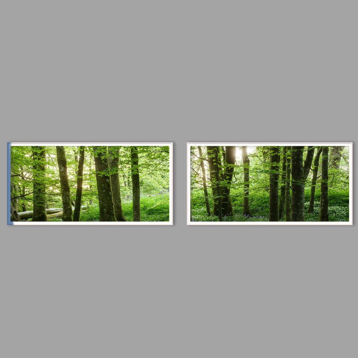 LED-Wandbild Zweiteiler quer mit Abstand – Wald