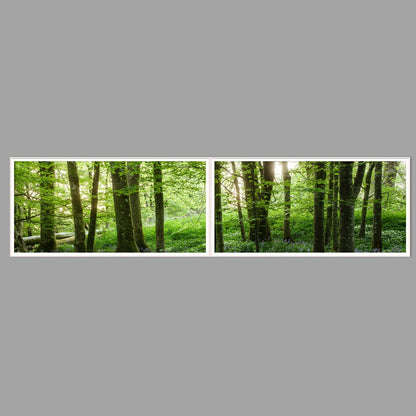 LED-Wandbild Zweiteiler quer 240x60 cm – Wald