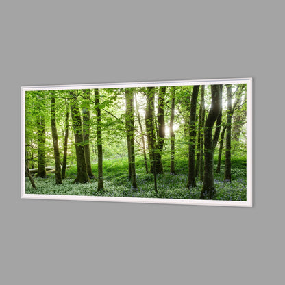 LED-Wandbild 60x120 cm quer – Wald