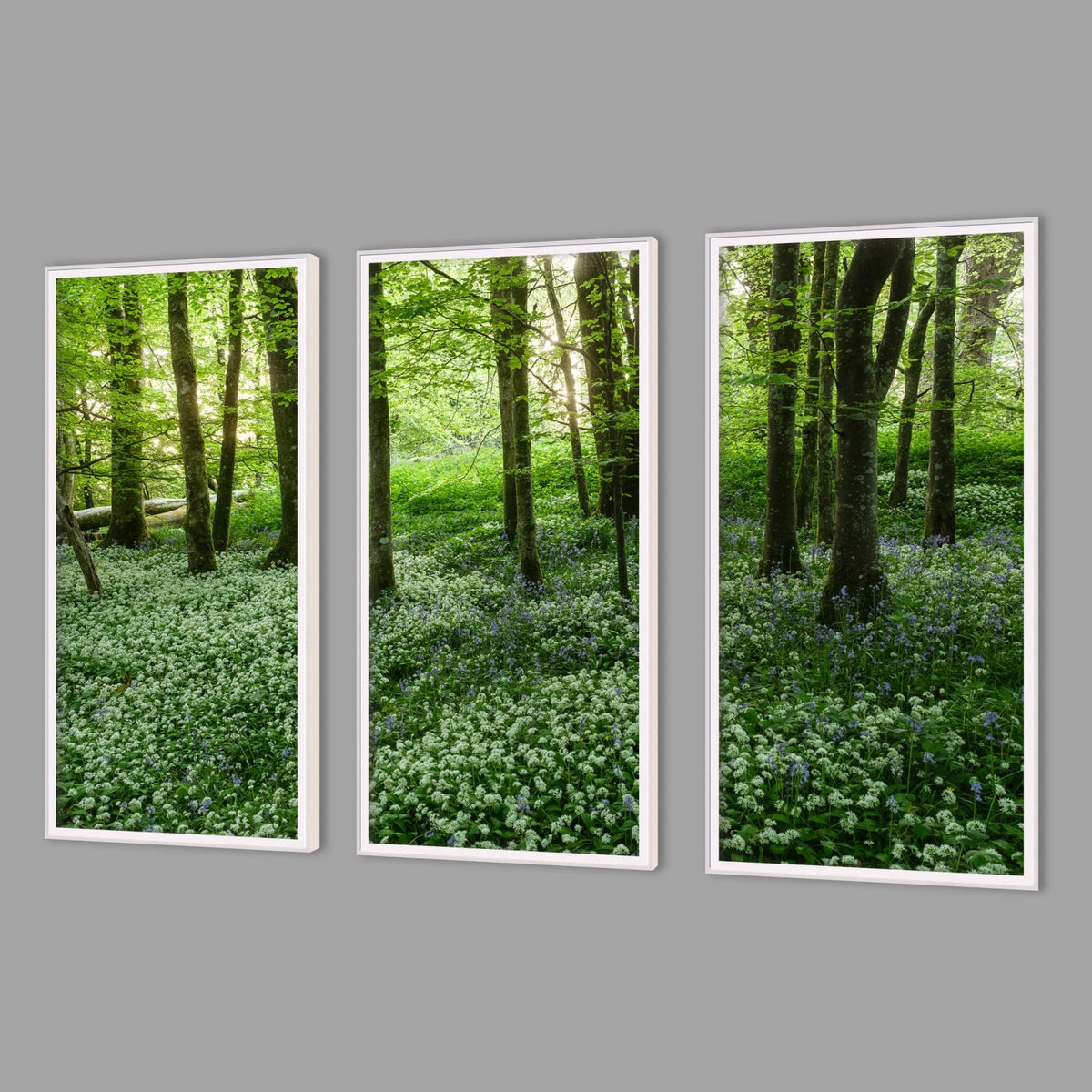 LED-Wandbild Dreiteiler hochkant mit Abstand – Wald