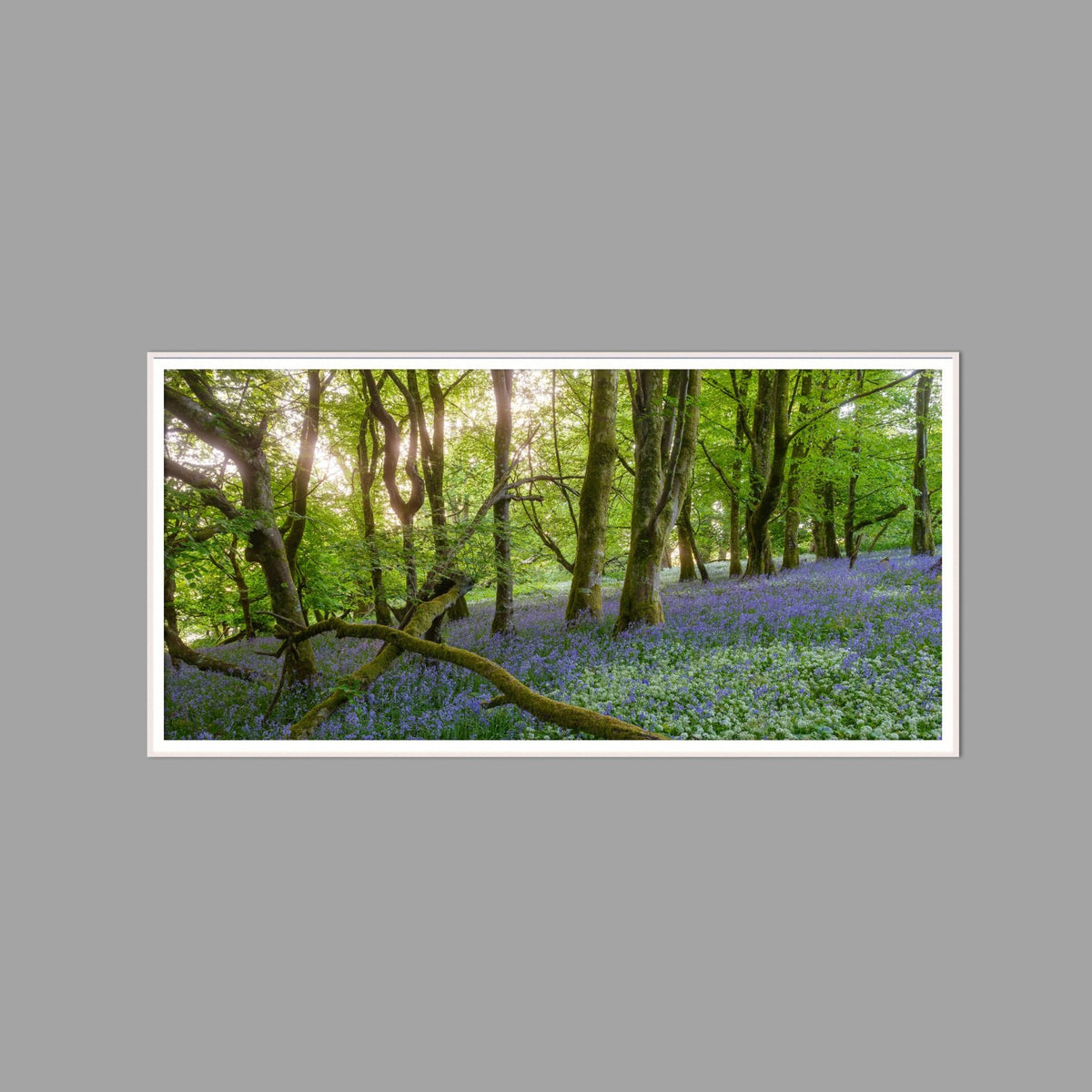 LED-Wandbild 60x120 cm quer – Wald