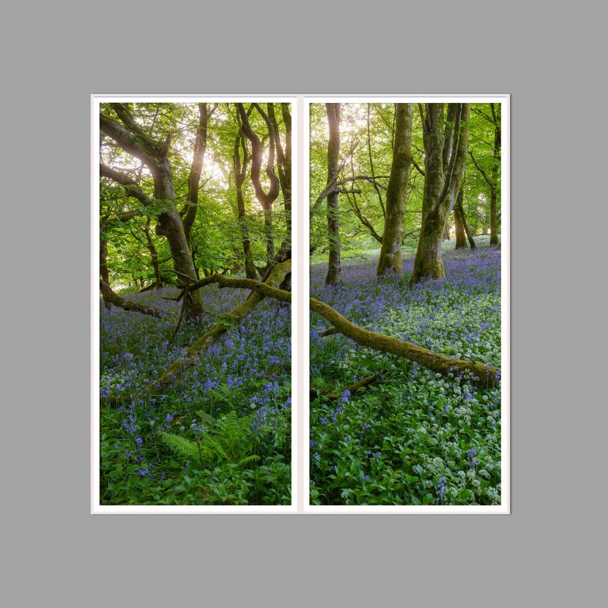 LED-Wandbild Zweiteiler hochkant 120x120 cm – Wald