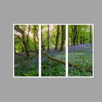 LED-Wandbild Dreiteiler hochkant 180x120 cm – Wald