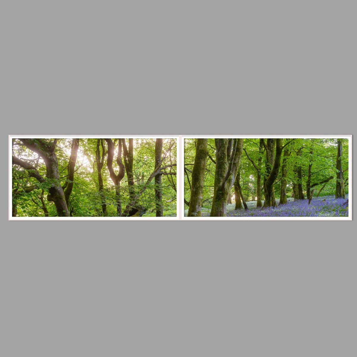 LED-Wandbild Zweiteiler quer 240x60 cm – Wald