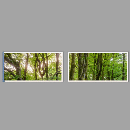 LED-Wandbild Zweiteiler quer mit Abstand – Wald