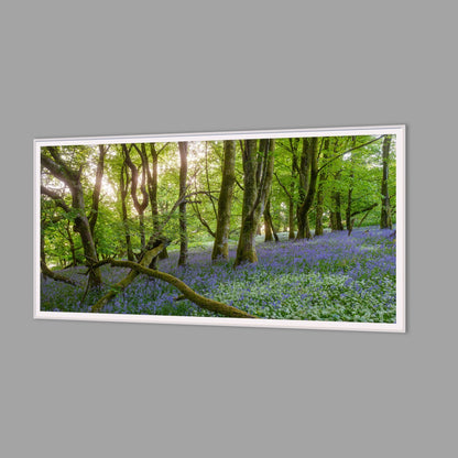 LED-Wandbild 60x120 cm quer – Wald