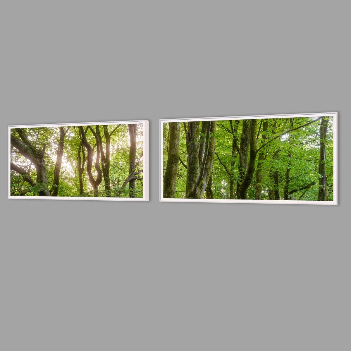 LED-Wandbild Zweiteiler quer mit Abstand – Wald