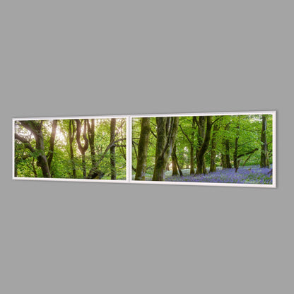LED-Wandbild Zweiteiler quer 240x60 cm – Wald