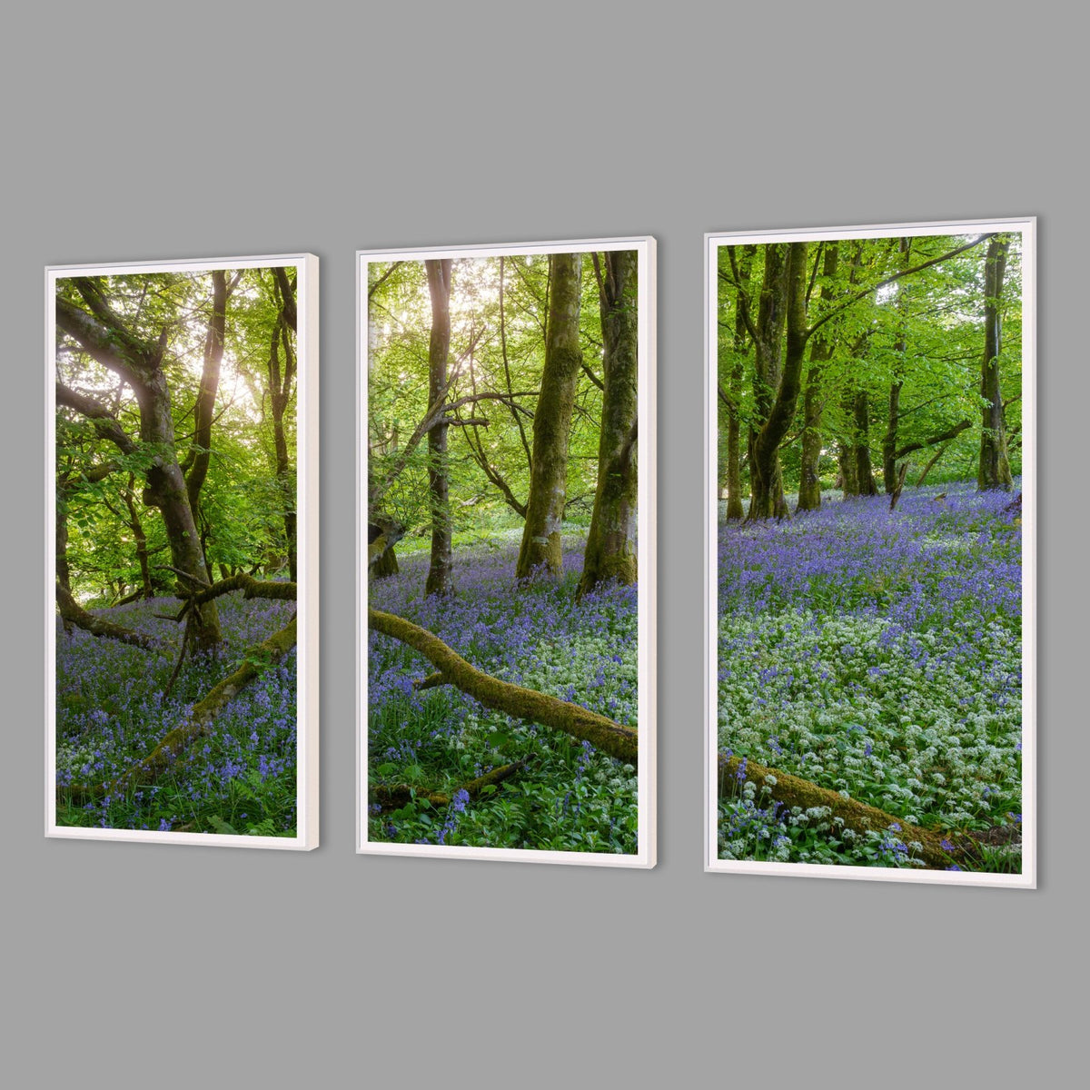 LED-Wandbild Dreiteiler hochkant mit Abstand – Wald